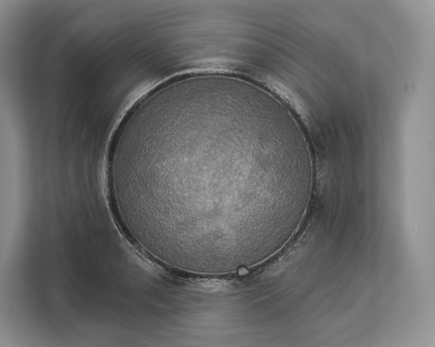 X0000113051085200909171536