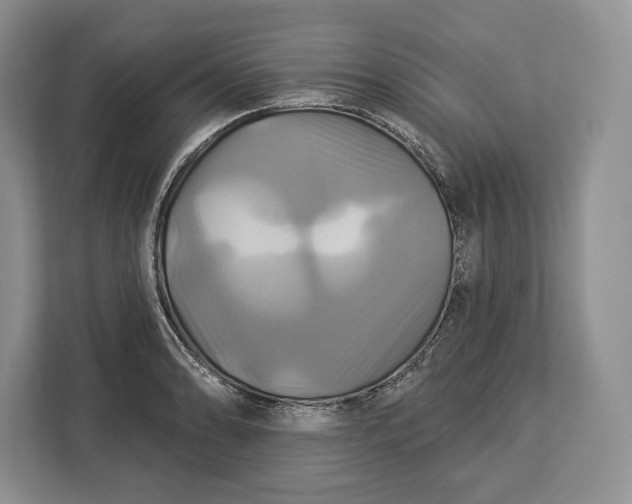 X0000113051086200909171536