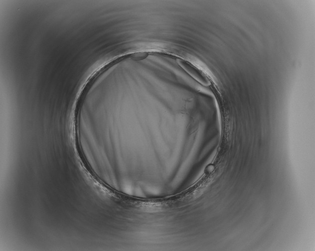 X0000113051088200909171536