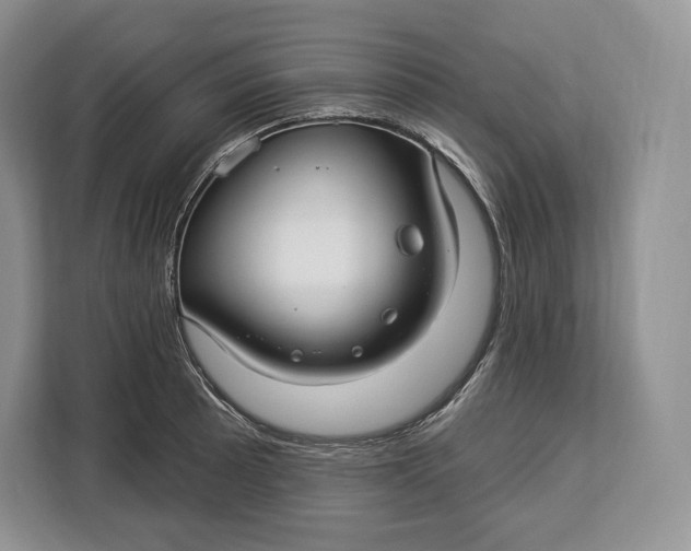 X0000113051089200909171536