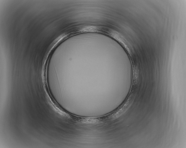 X0000113051090200909171536