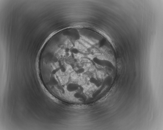 X0000113051091200909171536