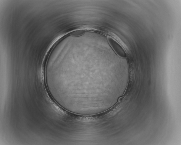 X0000113051092200909171536