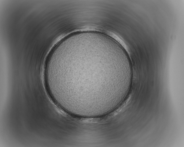 X0000113051093200909171536