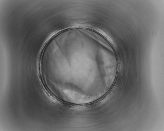 X0000113051094200909171536