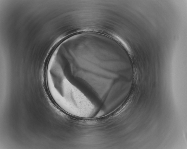 X0000113051095200909171536