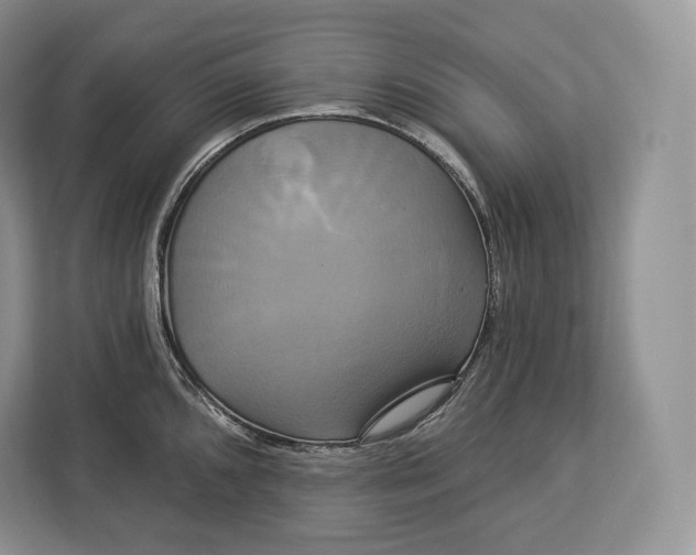 X0000113051096200909171536