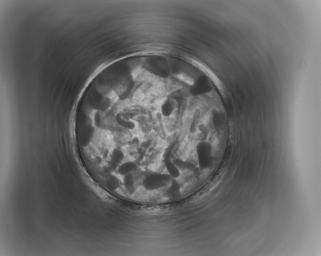 X0000113051099200909171536