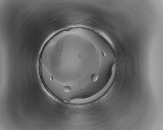 X0000113051100200909171536