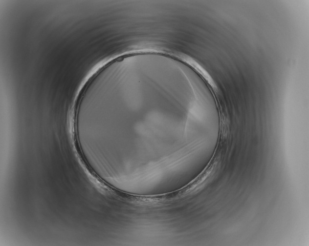 X0000113051101200909171536