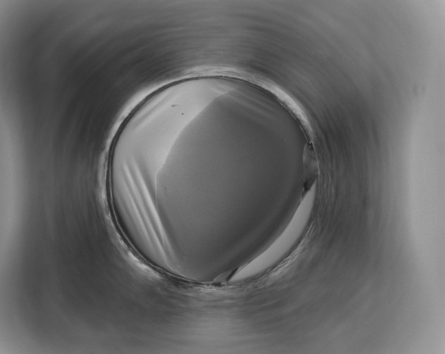 X0000113051102200909171536