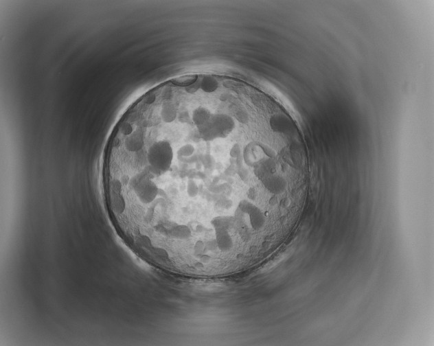 X0000113051103200909171536