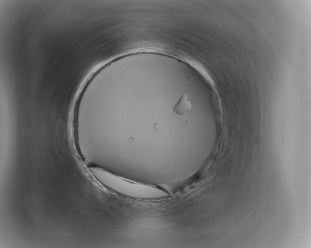 X0000113051104200909171536