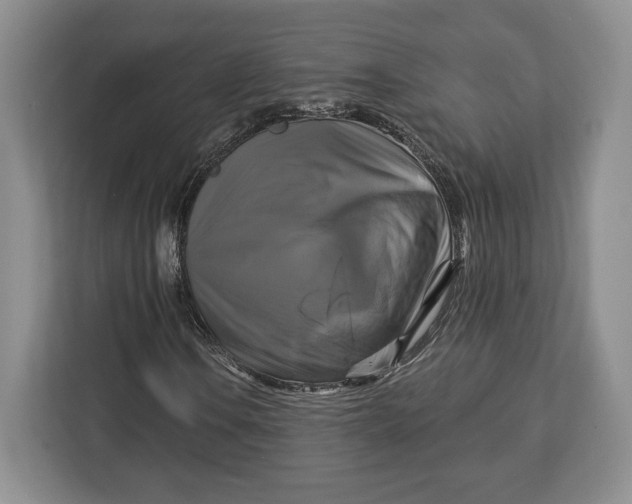 X0000113051106200909171535