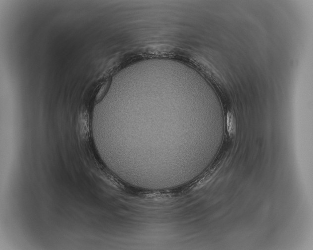 X0000113051107200909171535