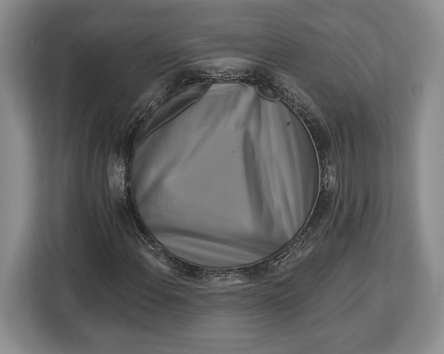 X0000113051108200909171535