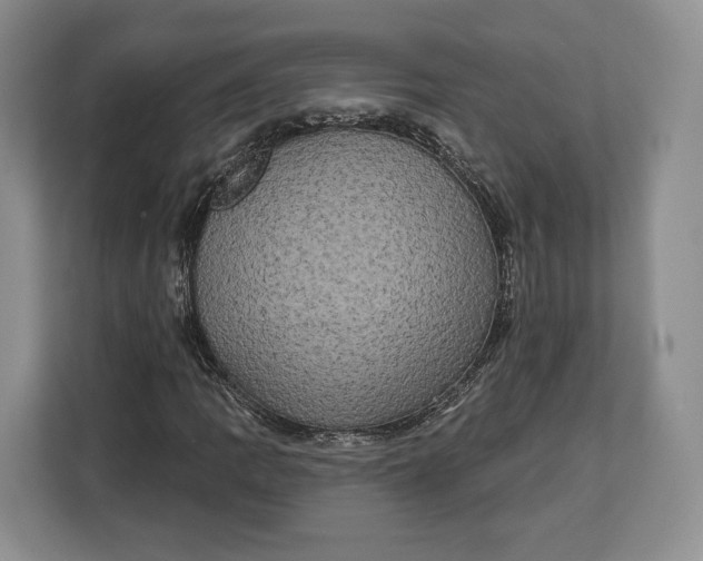 X0000113051109200909171535