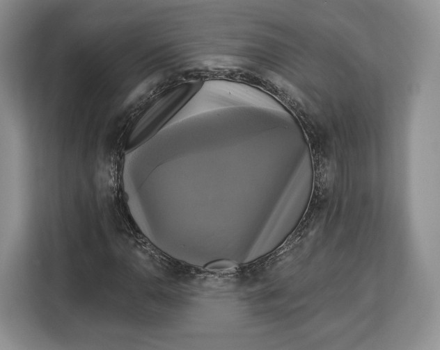 X0000113051110200909171535