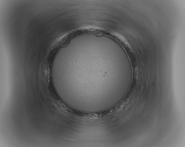 X0000113051111200909171535