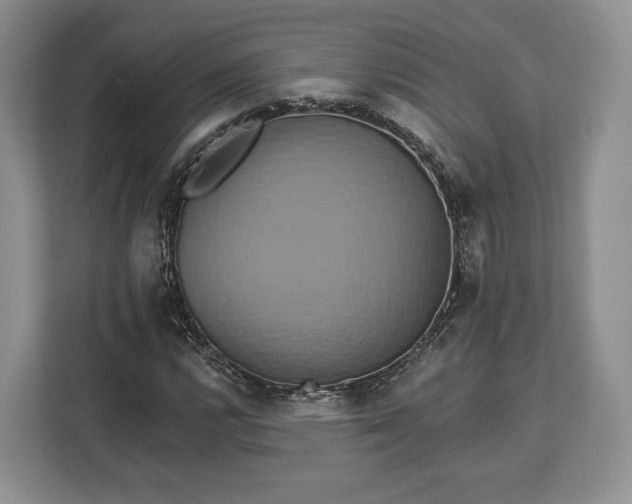 X0000113051112200909171535