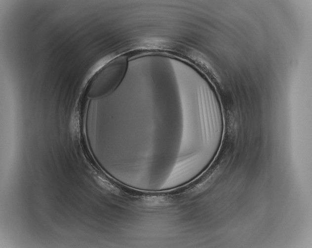 X0000113051114200909171535