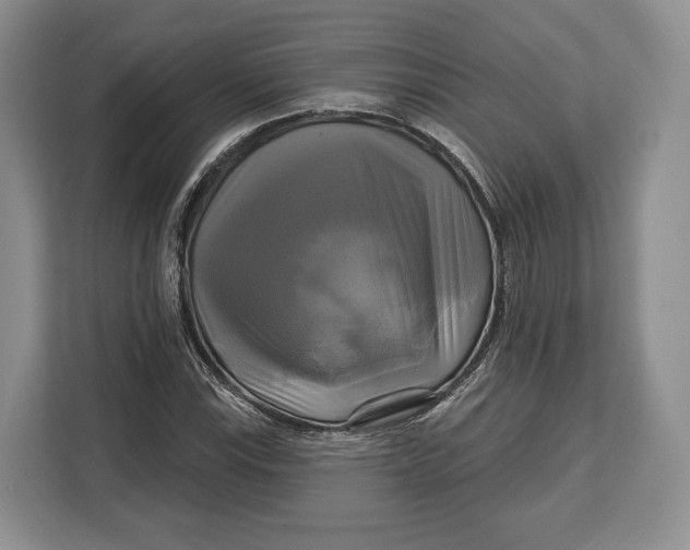 X0000113051115200909171535