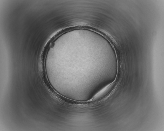 X0000113051118200909171535