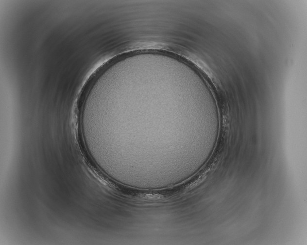 X0000113051119200909171535