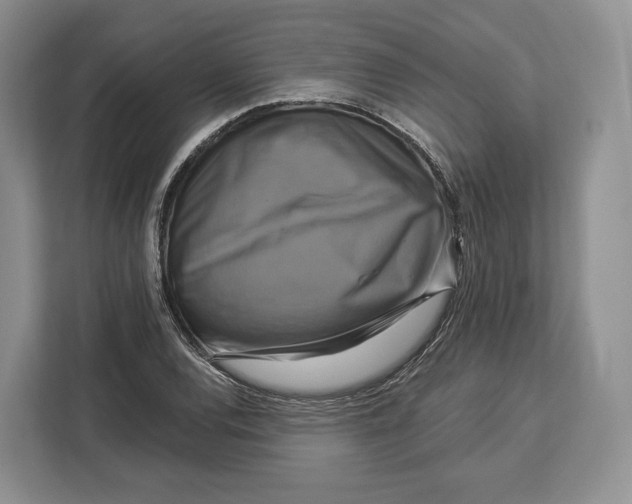 X0000113051120200909171535