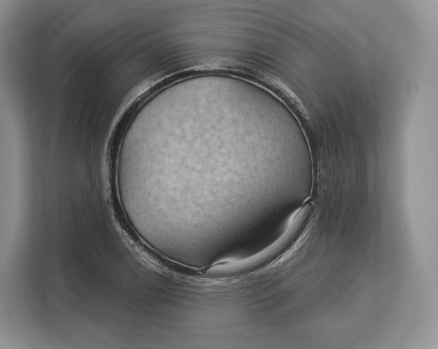 X0000113051122200909171535