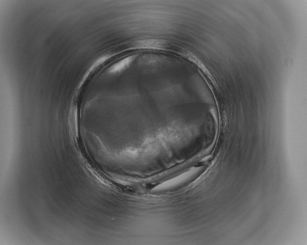 X0000113051123200909171535