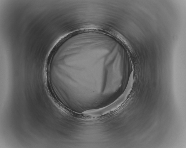 X0000113051124200909171536