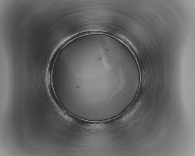 X0000113051125200909171536