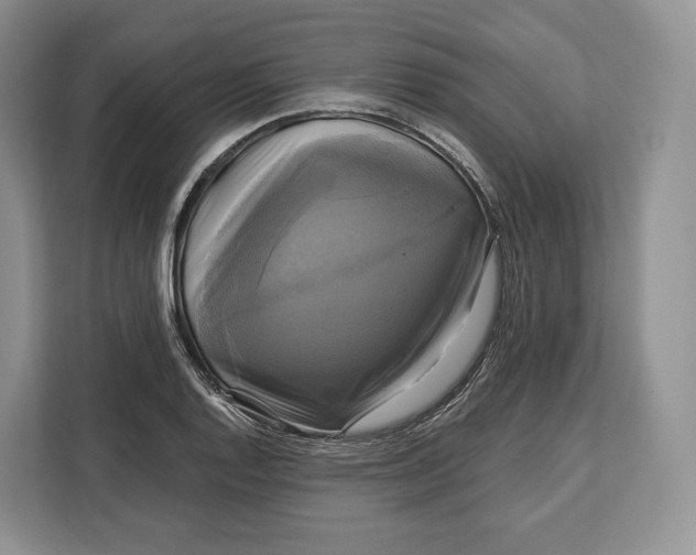 X0000113051128200909171536