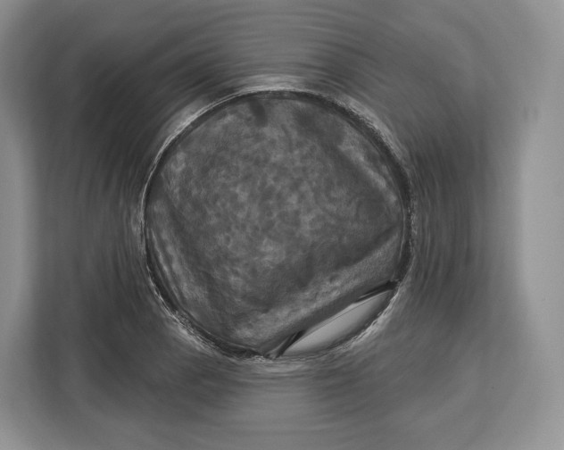 X0000113051129200909171536