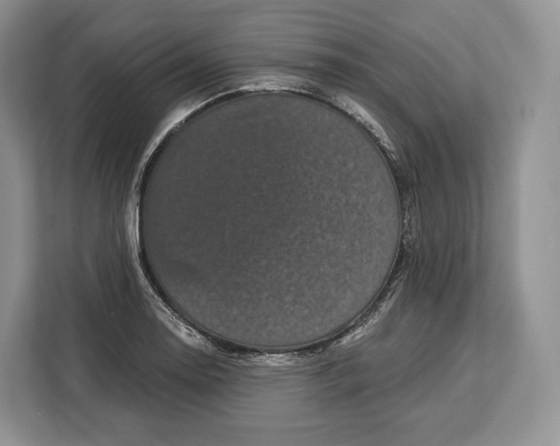 X0000113051130200909171536