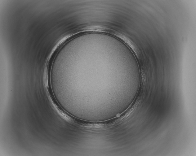 X0000113051131200909171536