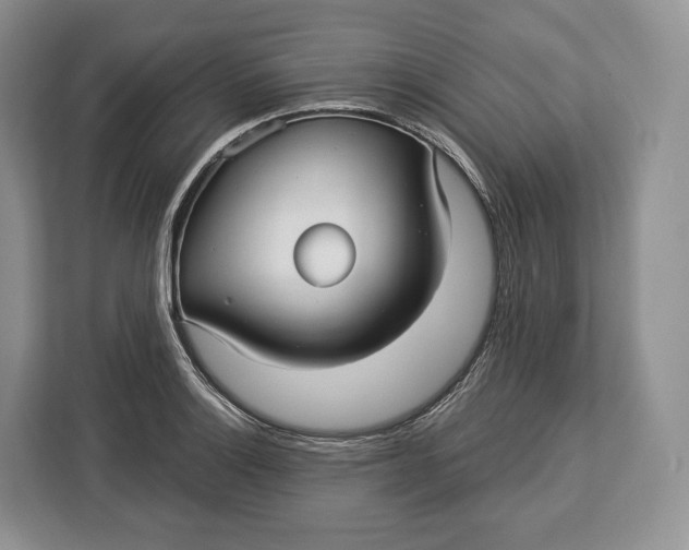 X0000113051132200909171536