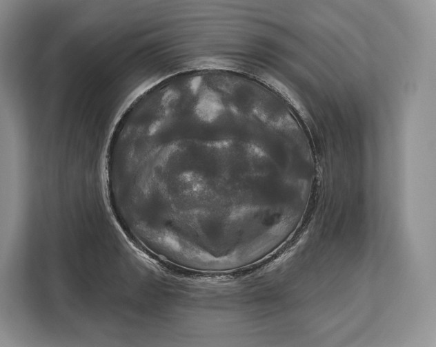 X0000113051133200909171536