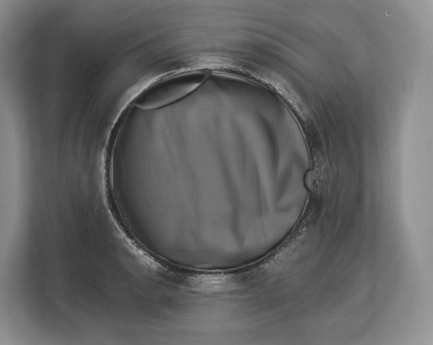 X0000113051134200909171536