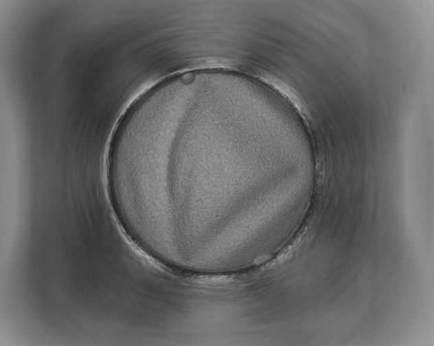 X0000113051135200909171536