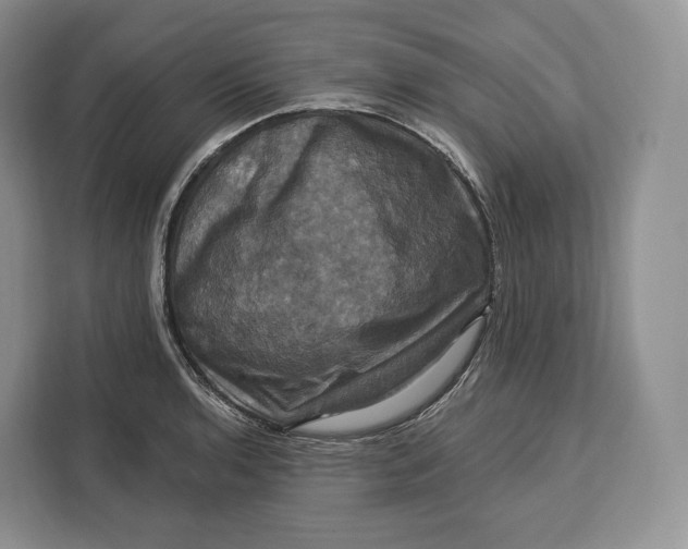 X0000113051136200909171536