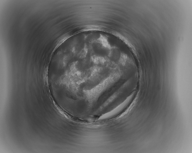 X0000113051137200909171536