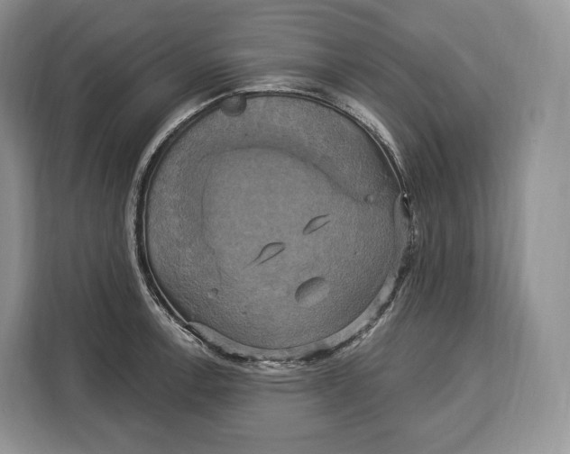 X0000113051138200909171536