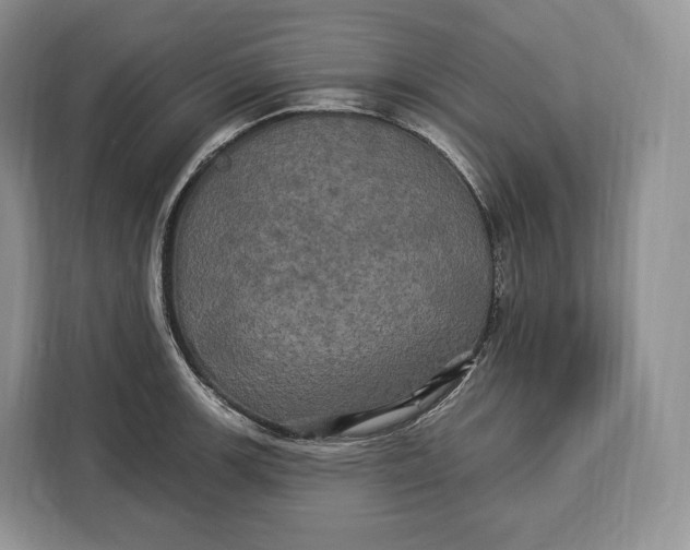 X0000113051139200909171536