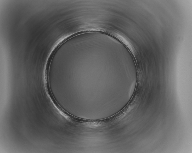 X0000113051141200909171536