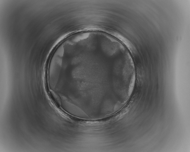 X0000113051142200909171536