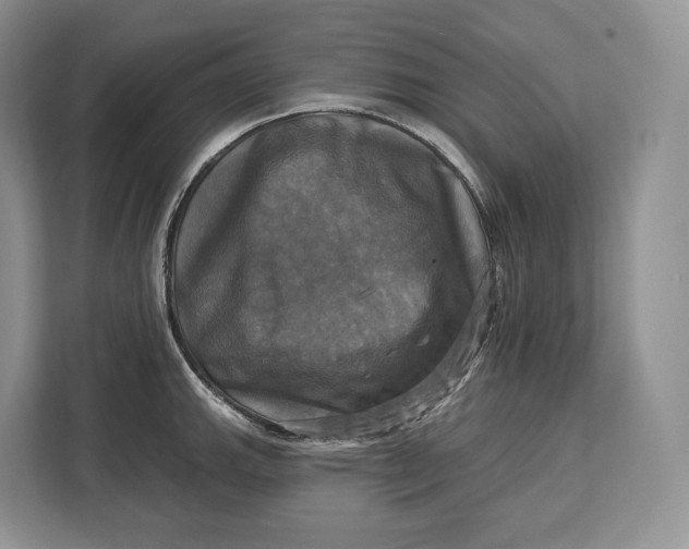 X0000113051143200909171536