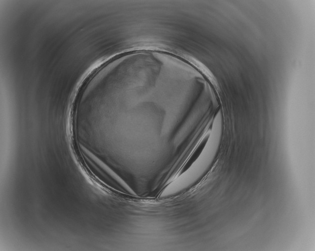 X0000113051144200909171536