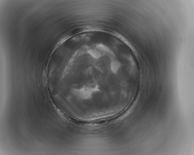 X0000113051145200909171536